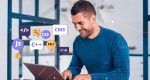 custom web development services