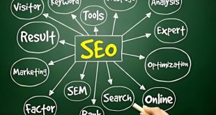 seo service in delhi