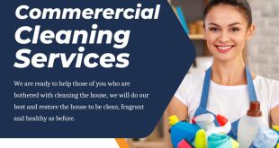 Cleaning Services in Hamilton