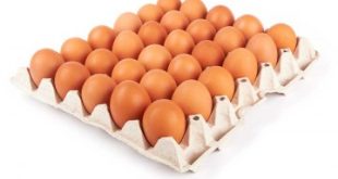 Free Range Eggs