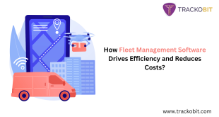 How Fleet Management Software Drives Efficiency and Reduces Costs