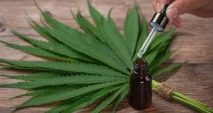 How to Make the Cannabis Tinctures at Home