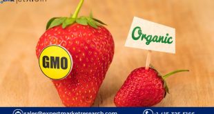 Non-GMO Food Market