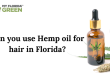 Hemp Oil