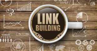 Link Building Services