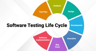 Software Testing Process