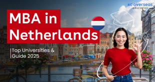 Why study MBA in Netherlands