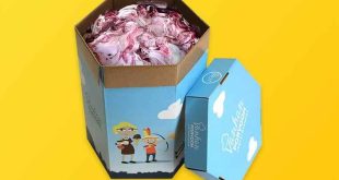 ice cream boxes