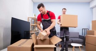 movers and packers