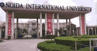 noida international university