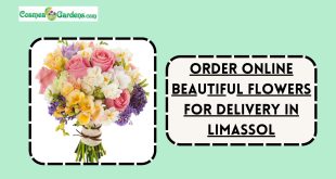 online flower shop limassol