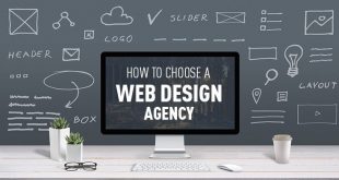 Website Developer Company