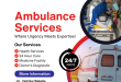 ambulance services in Delhi