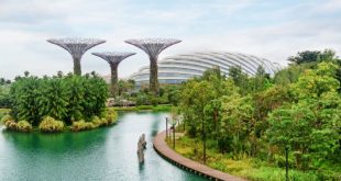 Explore 5 Futuristic Places in Singapore that blend innovation and design, offering a glimpse into tomorrow's world.