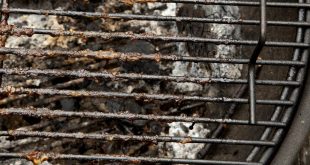 How To Remove Mold From Grill