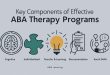 Key Components of Effective ABA Therapy Programs