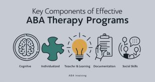 Key Components of Effective ABA Therapy Programs