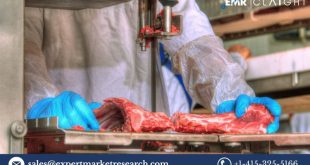 Meat Processing Equipment Market