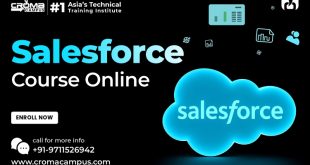 Salesforce Course Online