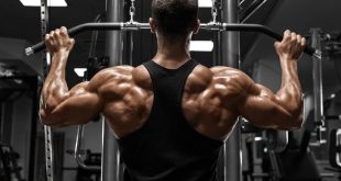 The Ultimate Cable Back Workouts for Stronger Back Muscles