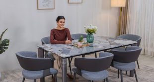 dining table design at wooden street