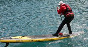 Paddle Board