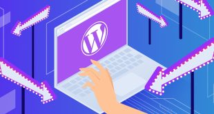 WordPress Redirects